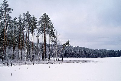 on the lake