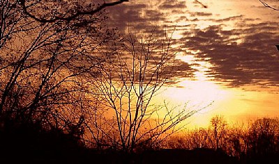 Sunset at the Pond