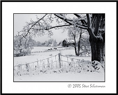 Snowy Farmscape