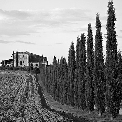 Tuscany Country bw #1