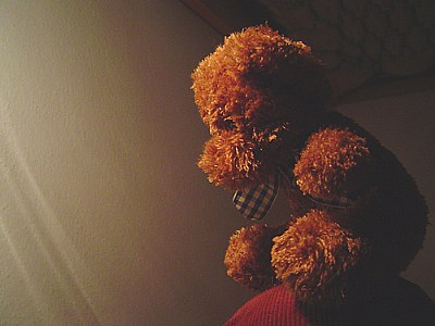 sad bear