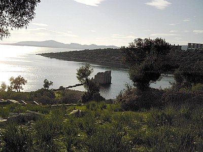 iasos