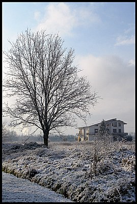 First Snow