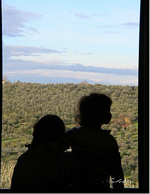 Window To Tuscany T