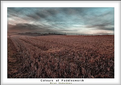 Colours of Paddlesworth