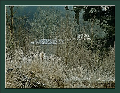 Hidden in the Frost