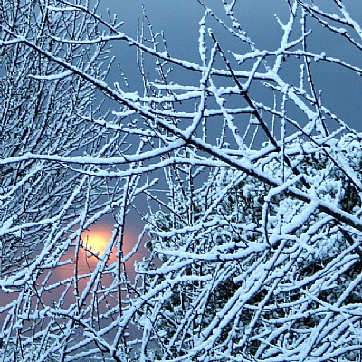 cold sun