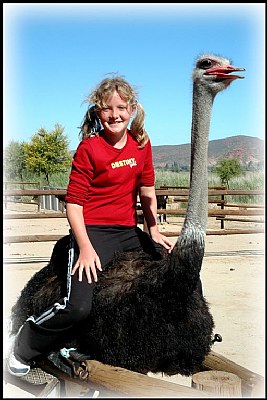 Tammy on Ostrich