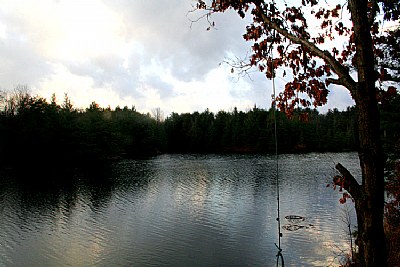 Swing and Lake