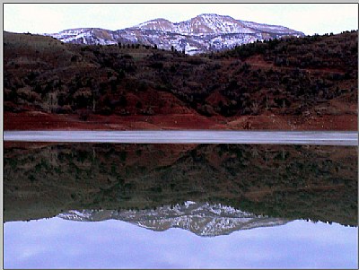 to reflect