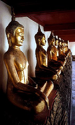 Buddha's in the Temple