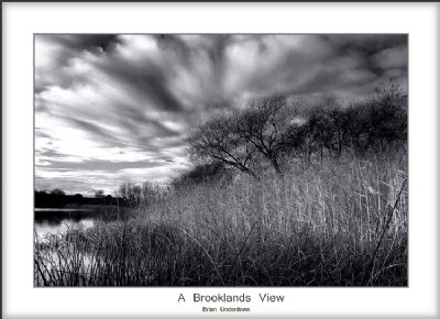 Brooklands View