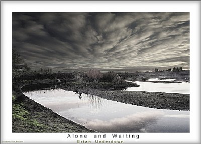 Alone & Waiting
