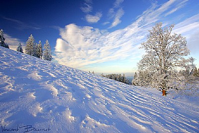 Welcome to Winterland