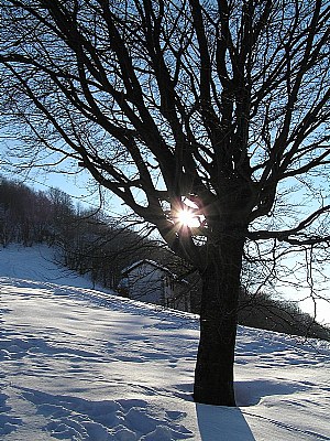 Neve in Valle Imagna#1