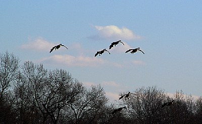 Landing