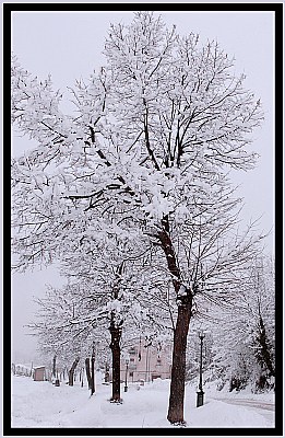 Inverno