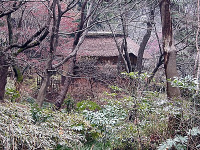 Teahouse in Winter