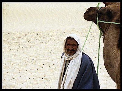 Driving the camel....