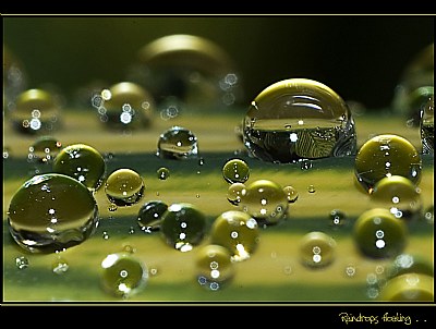 Drops floating . . 