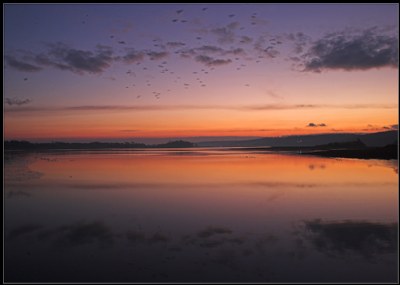 Dawn