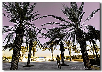 Ocean Drive