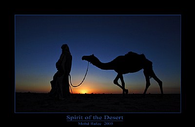 Spirit of the Desert