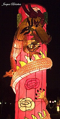 chinese lantern 27