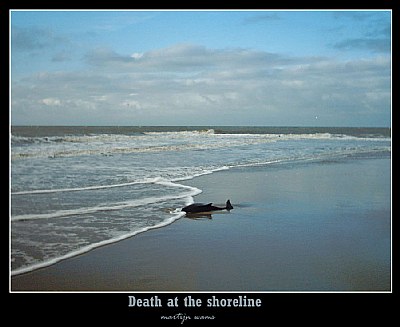 death at the seashore