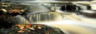 As Fall Falls