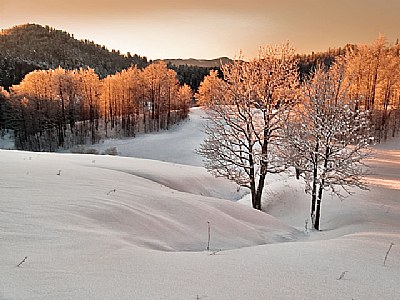 Gorski Kotar