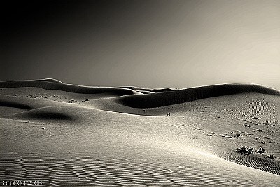 THE Magic of desert