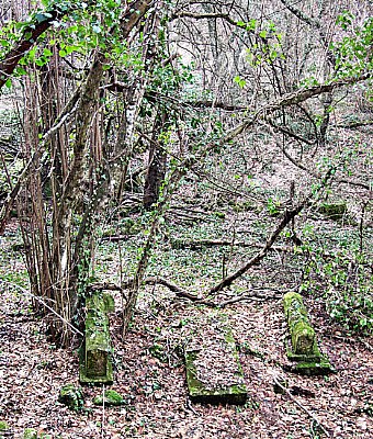 Lost and found cemetery 