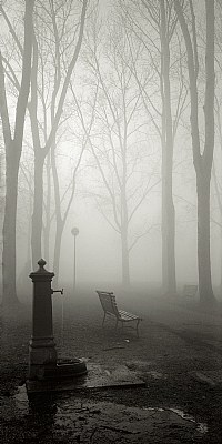 Lost in a foggy thought #1/3