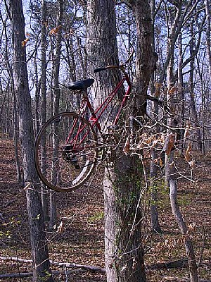 Up the tree, with a pedal