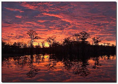 Still Waters