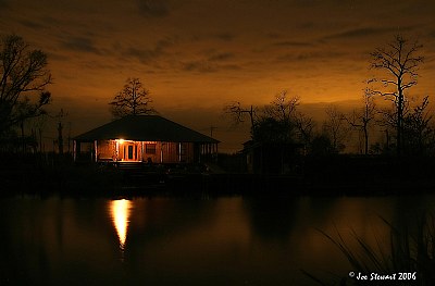 Louisiana Swamp Cottage 