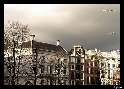 Like a painting