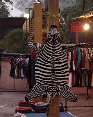 Die! Evil Zebra!!!