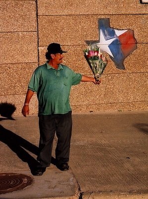 Texas Roadside Roses