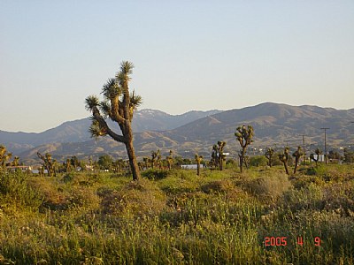 palmdale