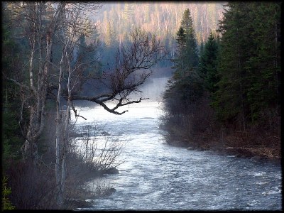 Babbling Brook