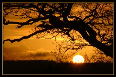 Newbury Sunset  I