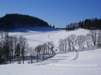 winter landscape