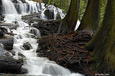 Lower Falls Detail