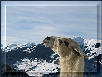 Is this Tibet ???