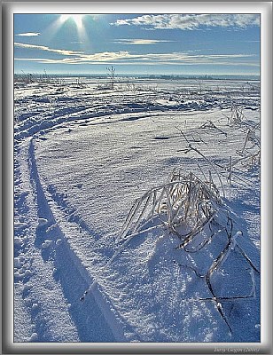 Winter path