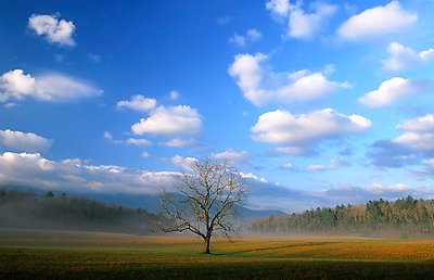 The Lovely Cades Cove in the GSM