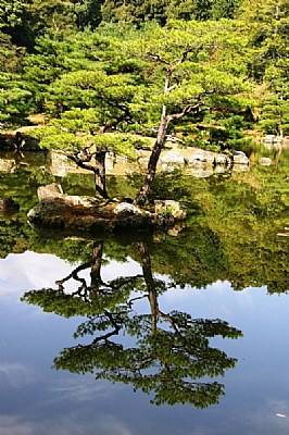kyoto reflection