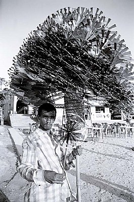 wind fan seller